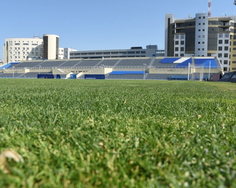     В Курске реализуют проект «Секреты долголетия: каратэ для пожилых»