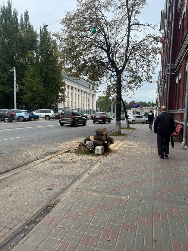    Липа у КРИНа пошла под топор