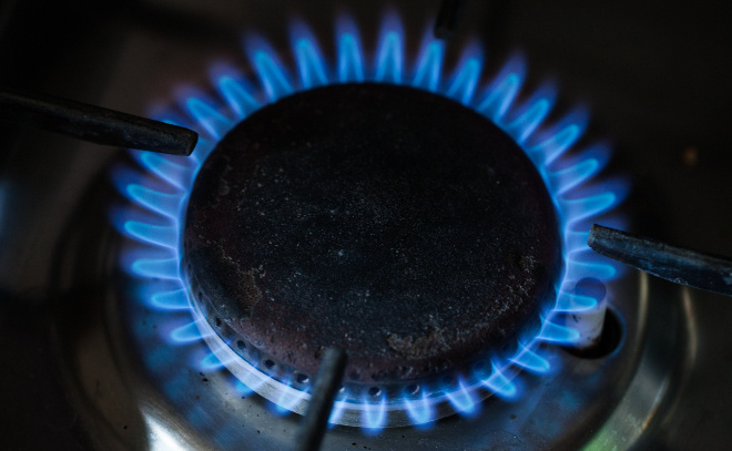    © Baltphoto/ Ольга Андросова