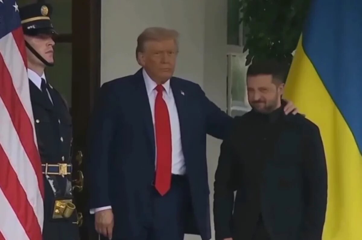    Физиогномист Воеводин объяснил, почему Трамп взял Зеленского за шею