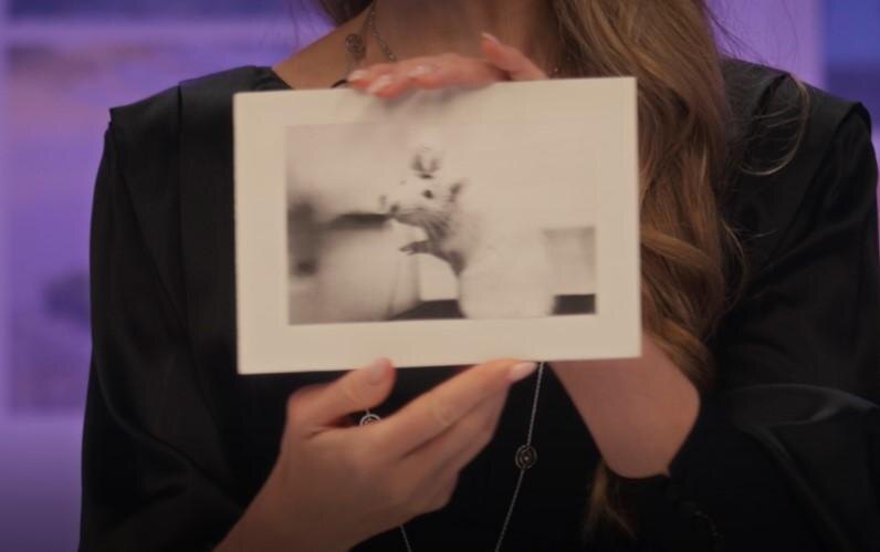 Одна из «Героинь» этого выпуска — крыса по имени Пифия