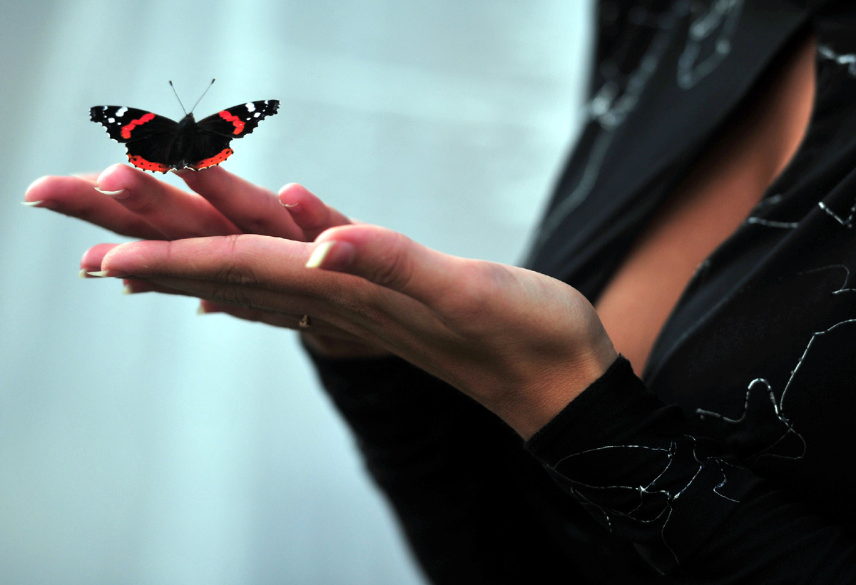 Фото: ШАХИДЖАНЯН Сергей