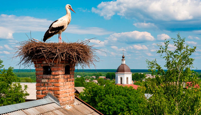20 августа — Марины-Пимены, в этот день наблюдали за аистами, чтобы узнать, какой будет осень. Фото: shedevrum.ai