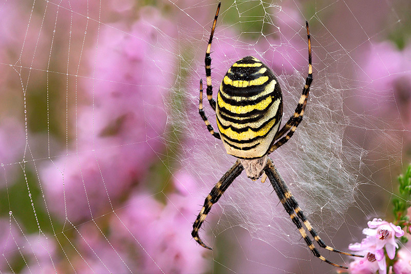    Dieter Mahlke/Global Look Press
