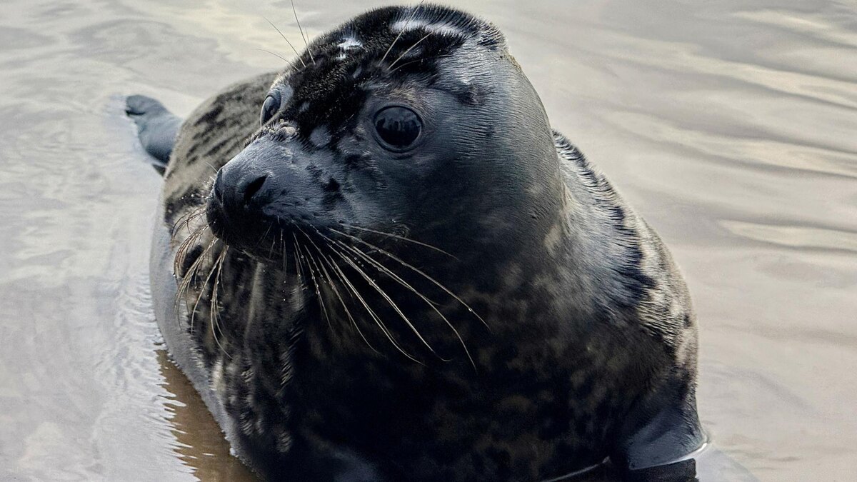    Фото: пресс-служба губернатора Санкт-Петербурга