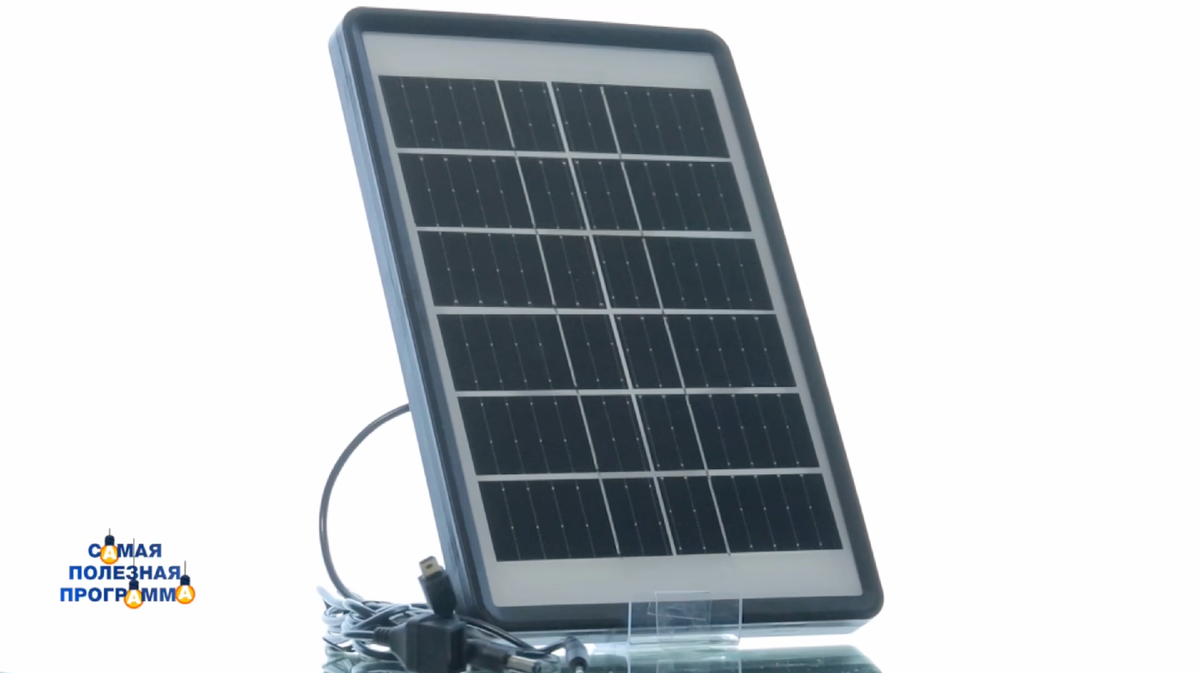 Фото: © Кадр из программы "Самая полезная программа", РЕН ТВ