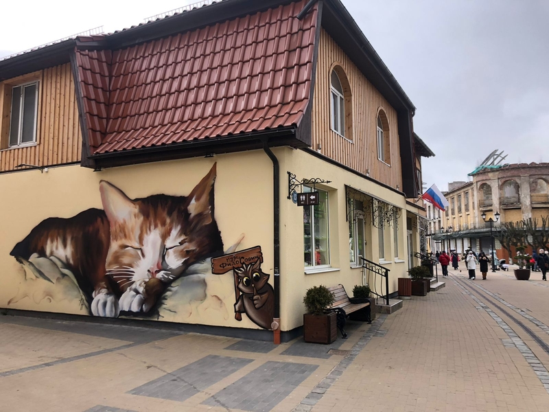 фото из открытых источников инетрнет