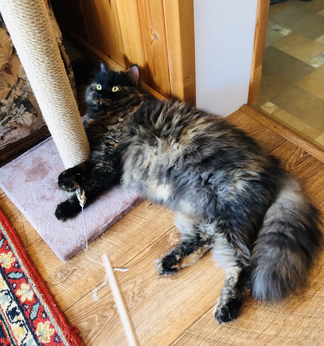 Барыня Мюсли отдыхает