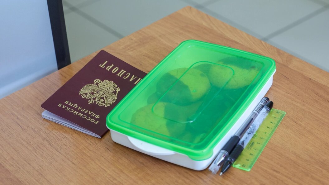    Фото: Shatokhina Natalia/news.ru/Globallookpress