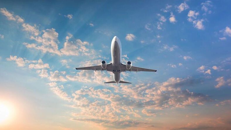    Фото: muratart/Shutterstock/Fotodom