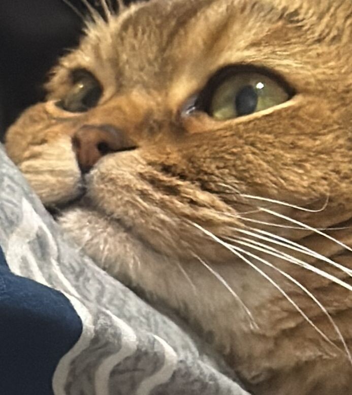 Из личного архива