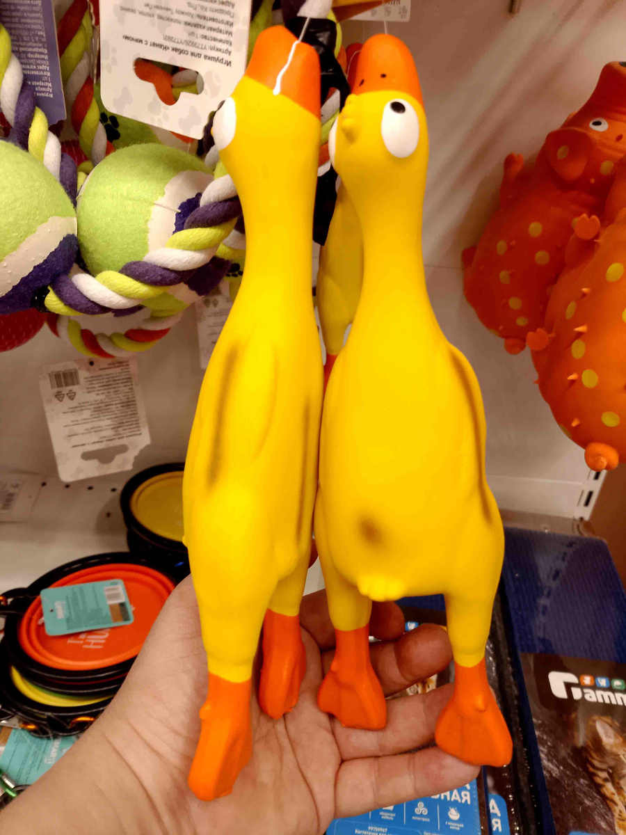 Утки для собак смешно пищат))