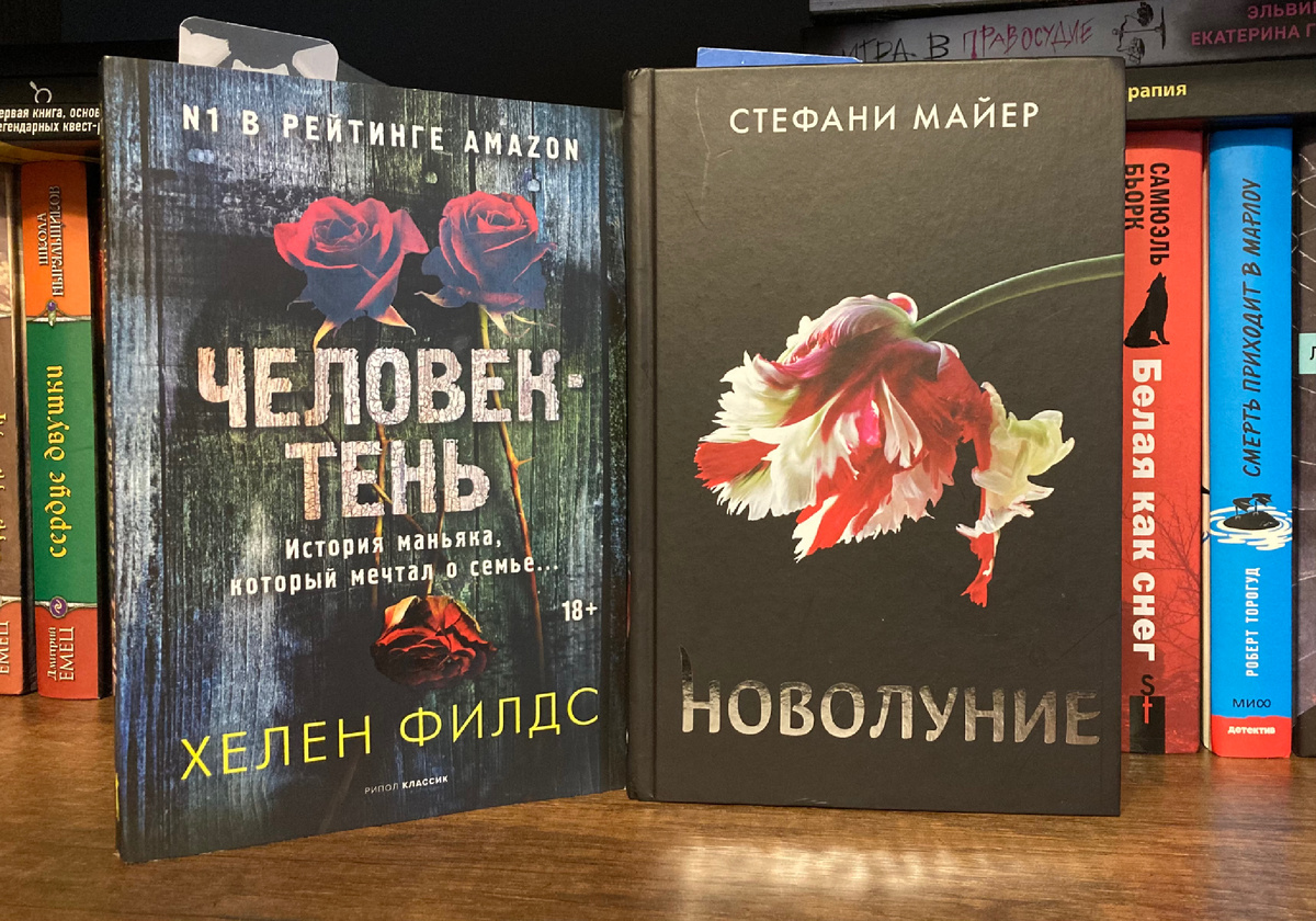 "Новолуние" – прочитано 102 из 445 страниц; "Человек-тень" – прочитано 152 из 480 страниц