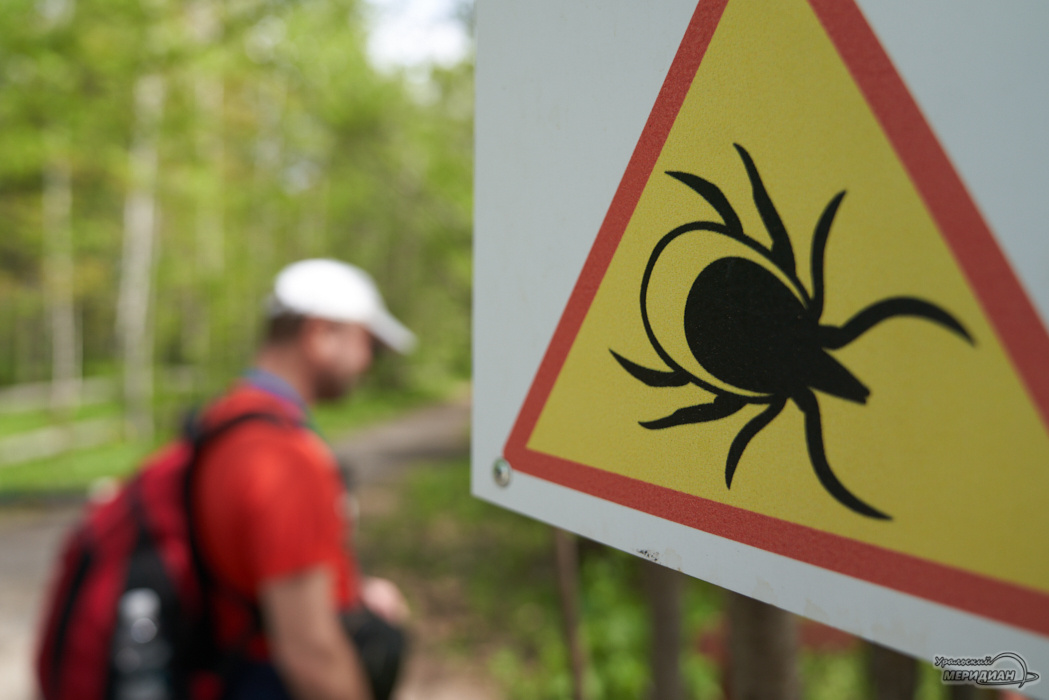    Фото: Лидия Аникина © ИА «Уральский меридиан»
