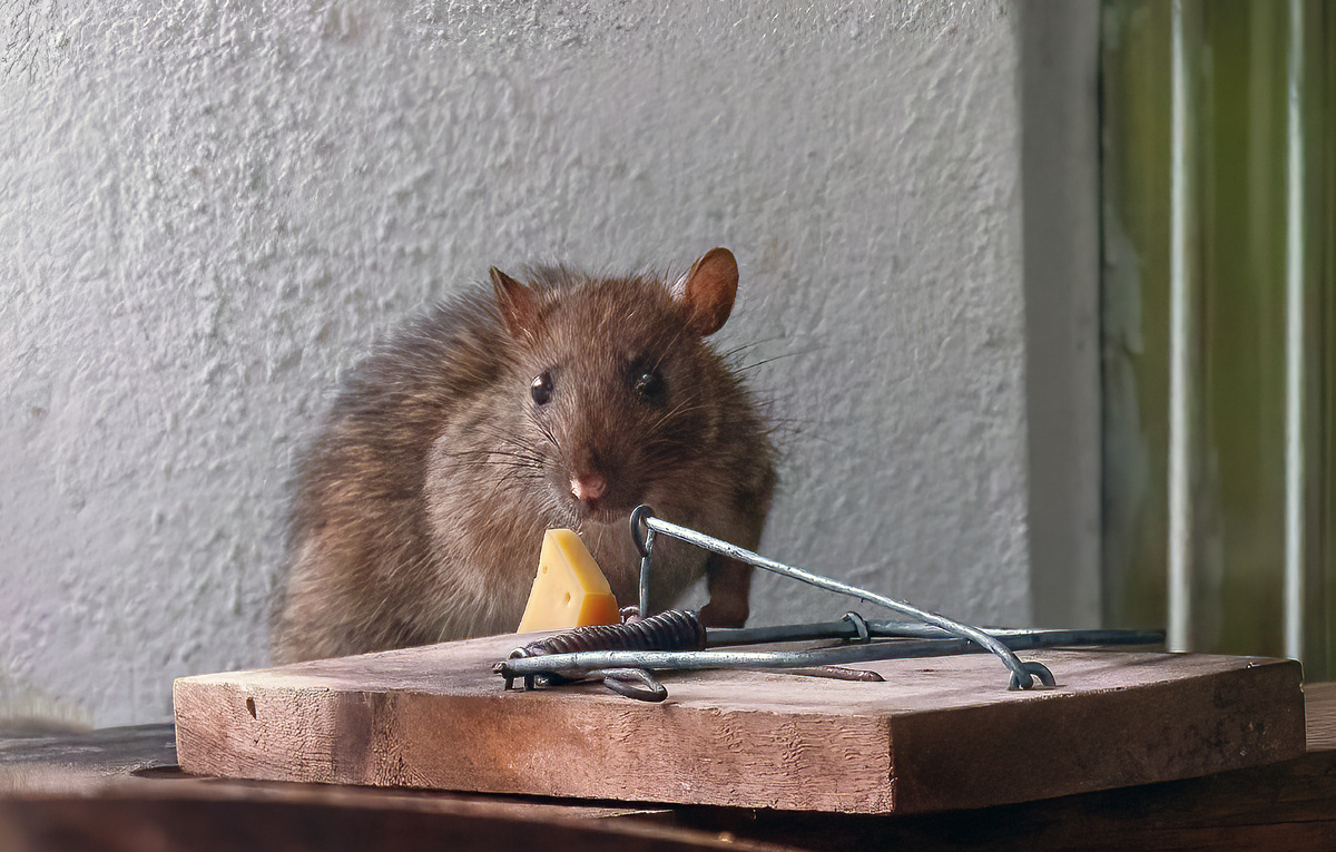 Diego Grandi/Shutterstock/FOTODOM