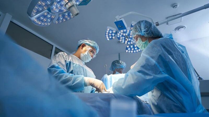    Фото: Svitlana Hulko/Shutterstock/Fotodom