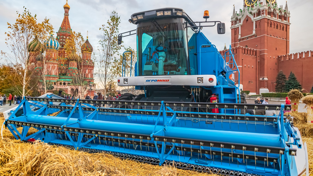    Фото: wws001/shutterstock