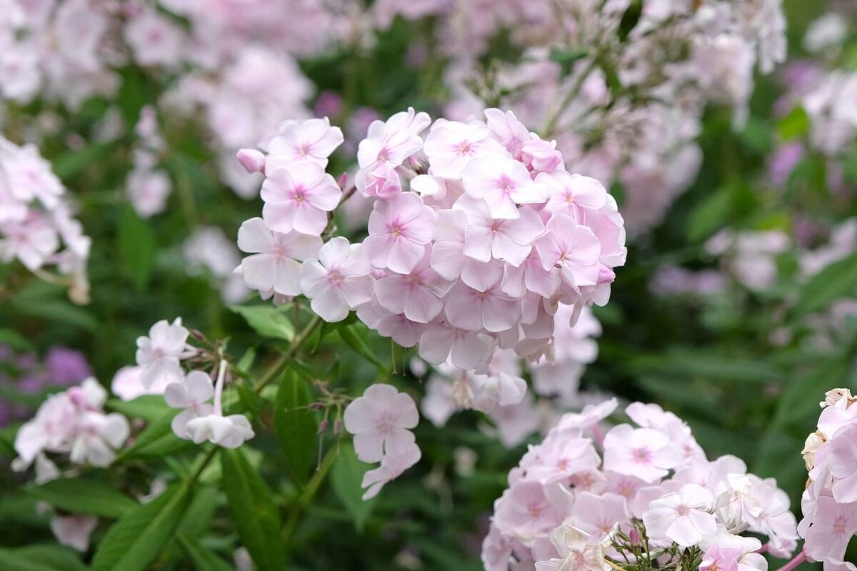    Alex Manders / Shuttersock / FOTODOM