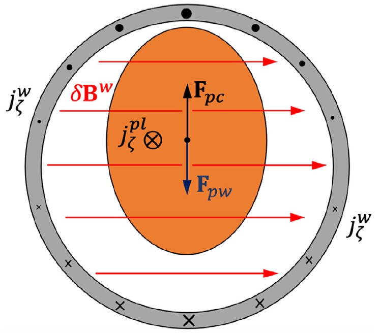    Схематический поперечный разрез токамака в момент развития вертикальной неустойчивости. Стабилизирующая сила, которая рождается за счет реакции проводящей стенки, противостоит дестабилизирующей силе, и поэтому процесс роста неустойчивости происходит с конечной скоростью, которую авторы вычисляют в статье / © N. V. Chukashev and V. D. Pustovitov, Physics of Plasmas