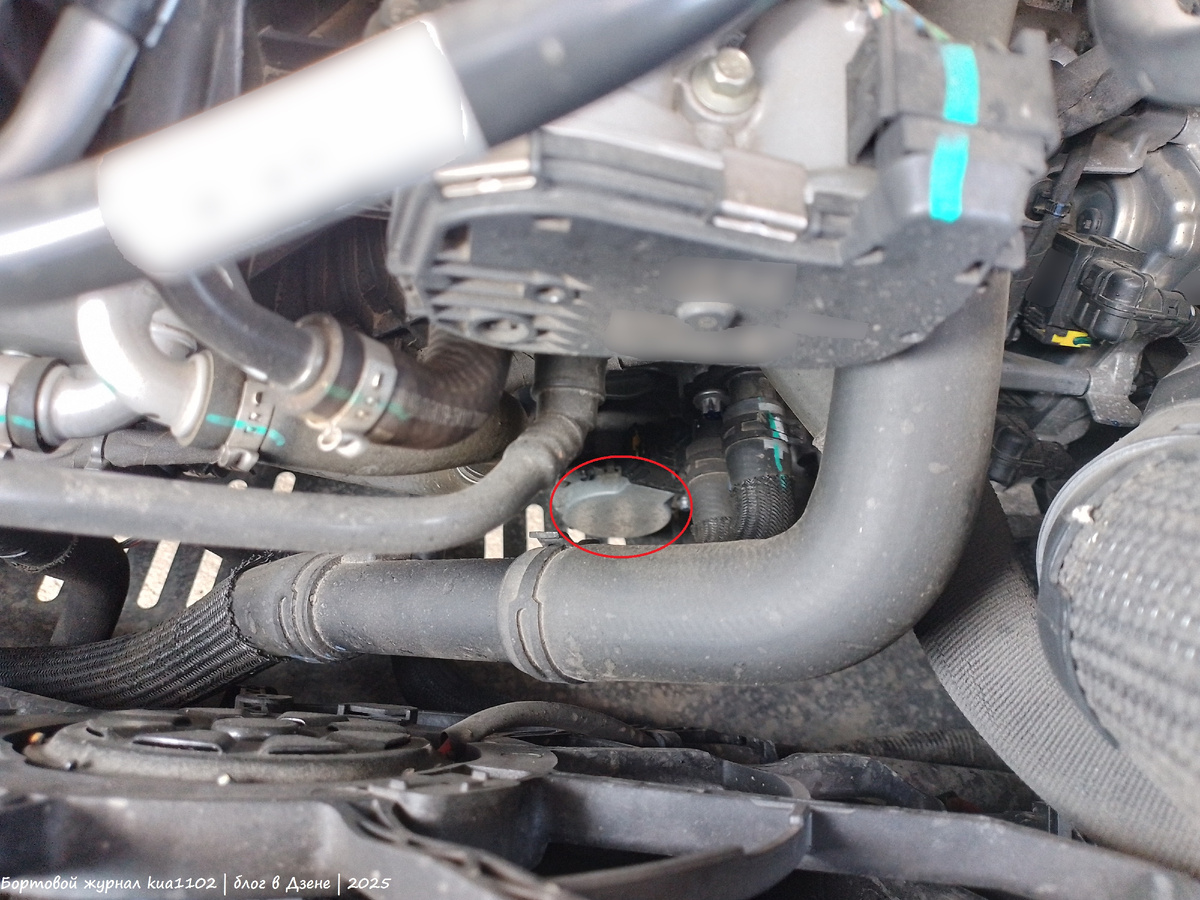 Обвёл красным кружком деталь. Автор фотографии kua1102