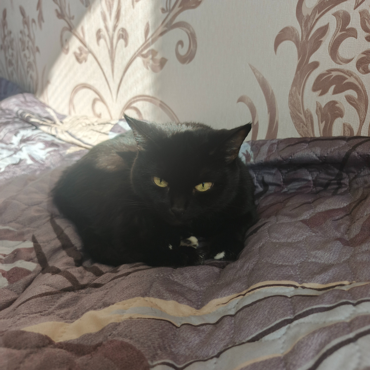 В глазах любовь к окружающим