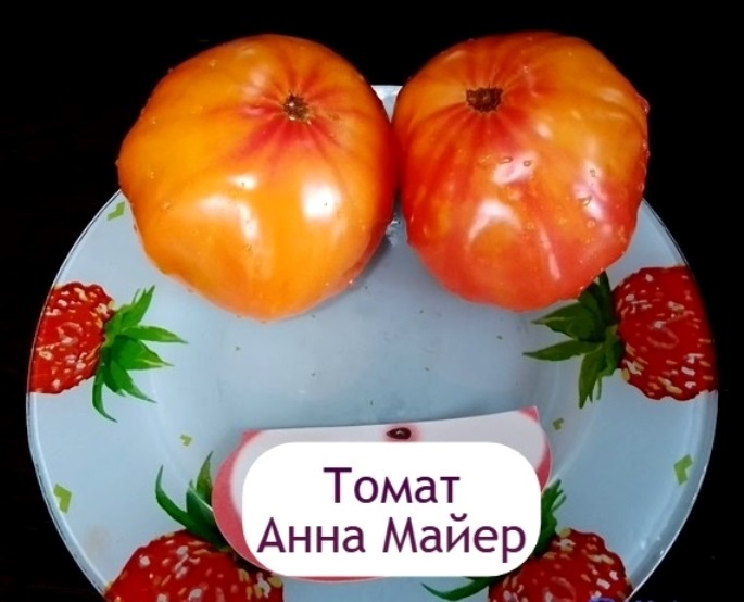 Выращенные мною сорта вкусных томатов. Это небольшая часть. Листайте галерею. 