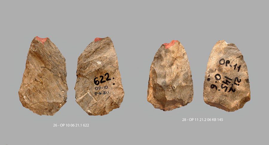 Фотография из материлов исследования с сайта PLOS.ONE