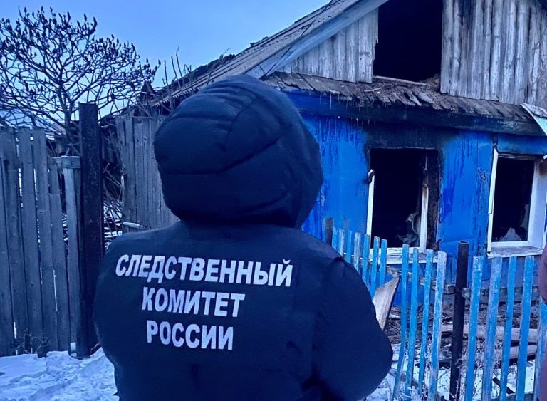    Жительницу Ташлинского района приговорили к 9 годам за кражу и попытку убийства Оренбуржье