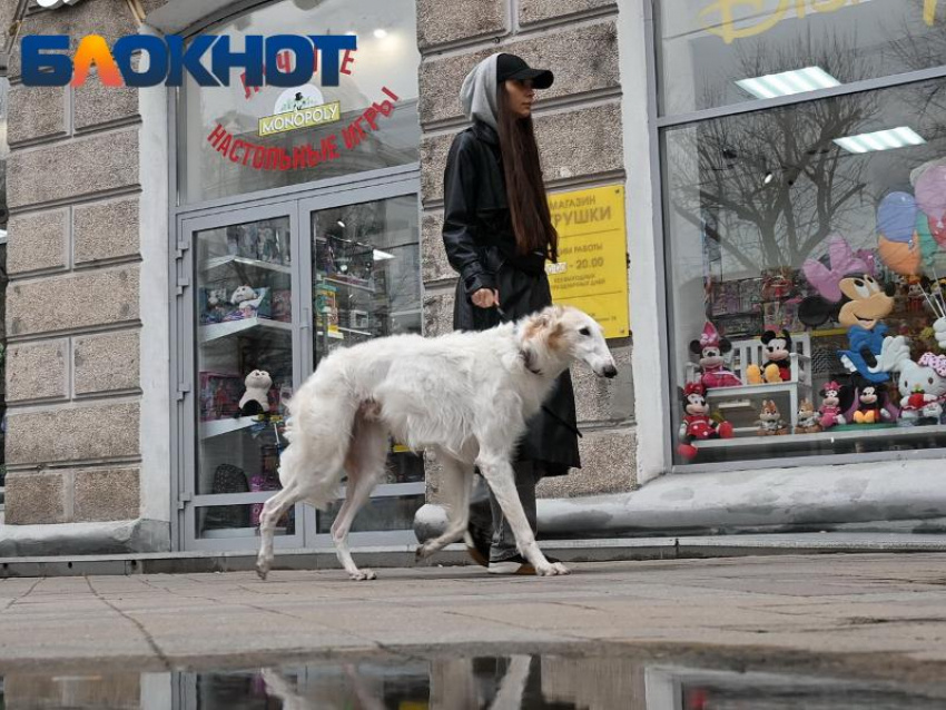 Фото: "Блокнот Краснодар"