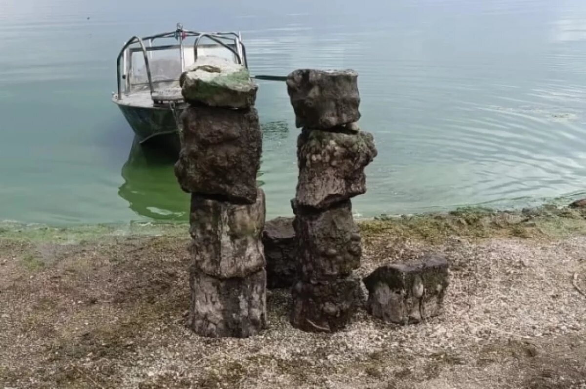    В Волге у Сенгилеевских гор нашли ствол окаменелого дерева