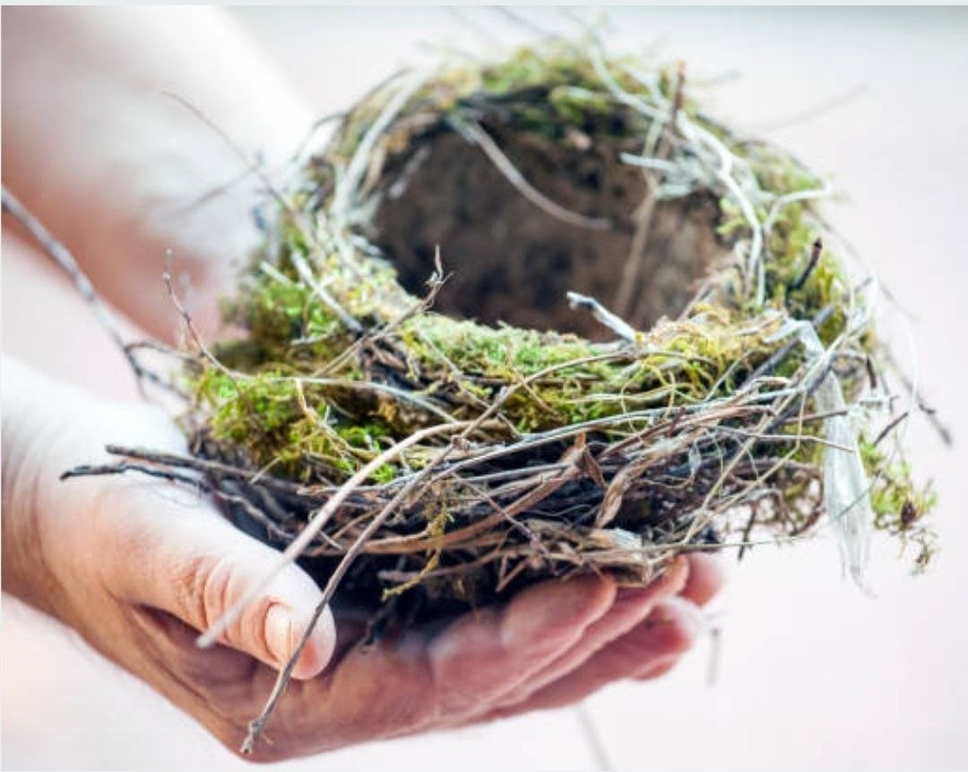 Синдром опустевшего гнезда