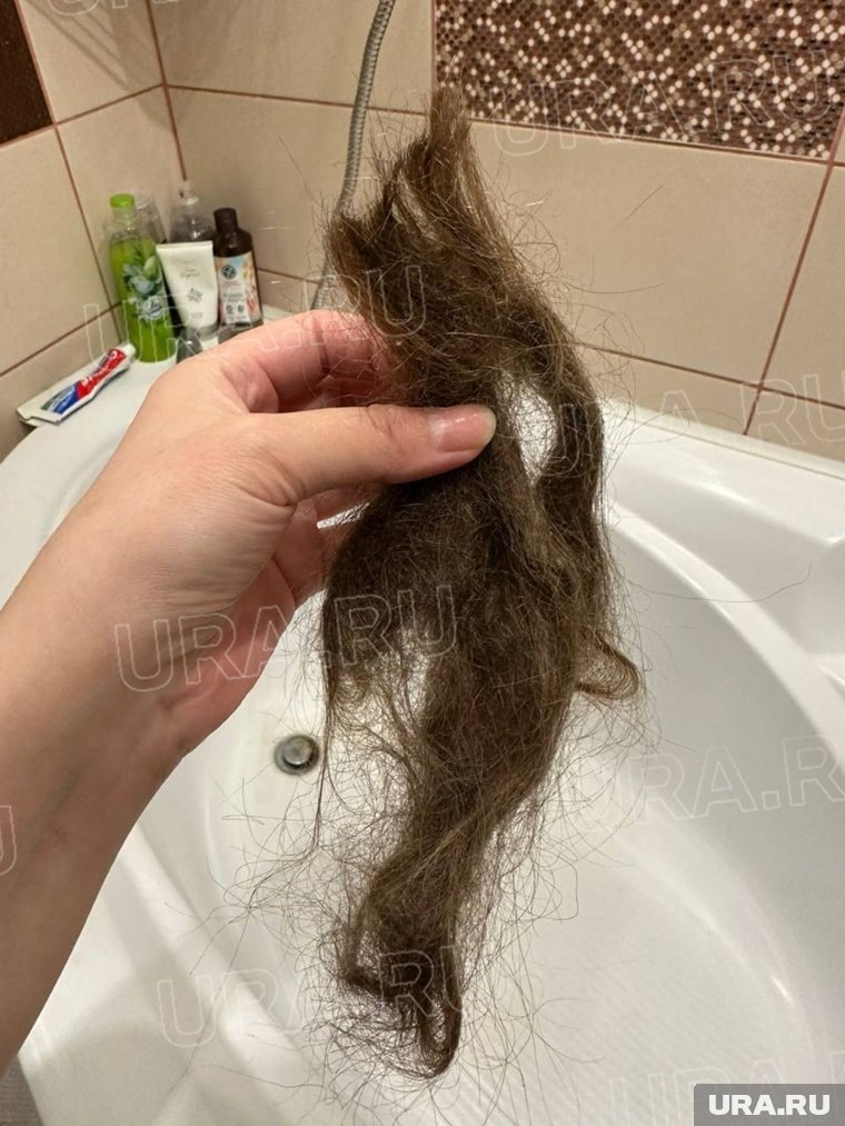 Клок волос. Фото: URA.RU