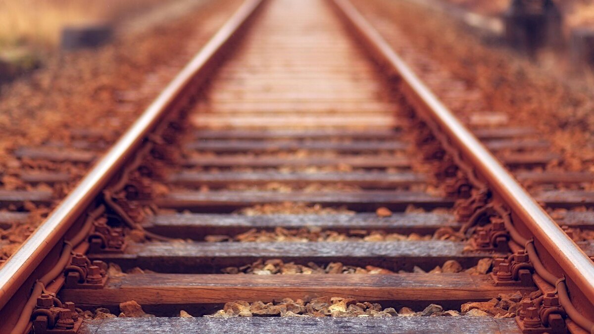    Фото: unsplash.com