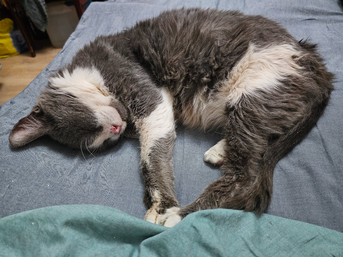 Фото автора. Дедуся старечек. Завтра их может уже не стать.