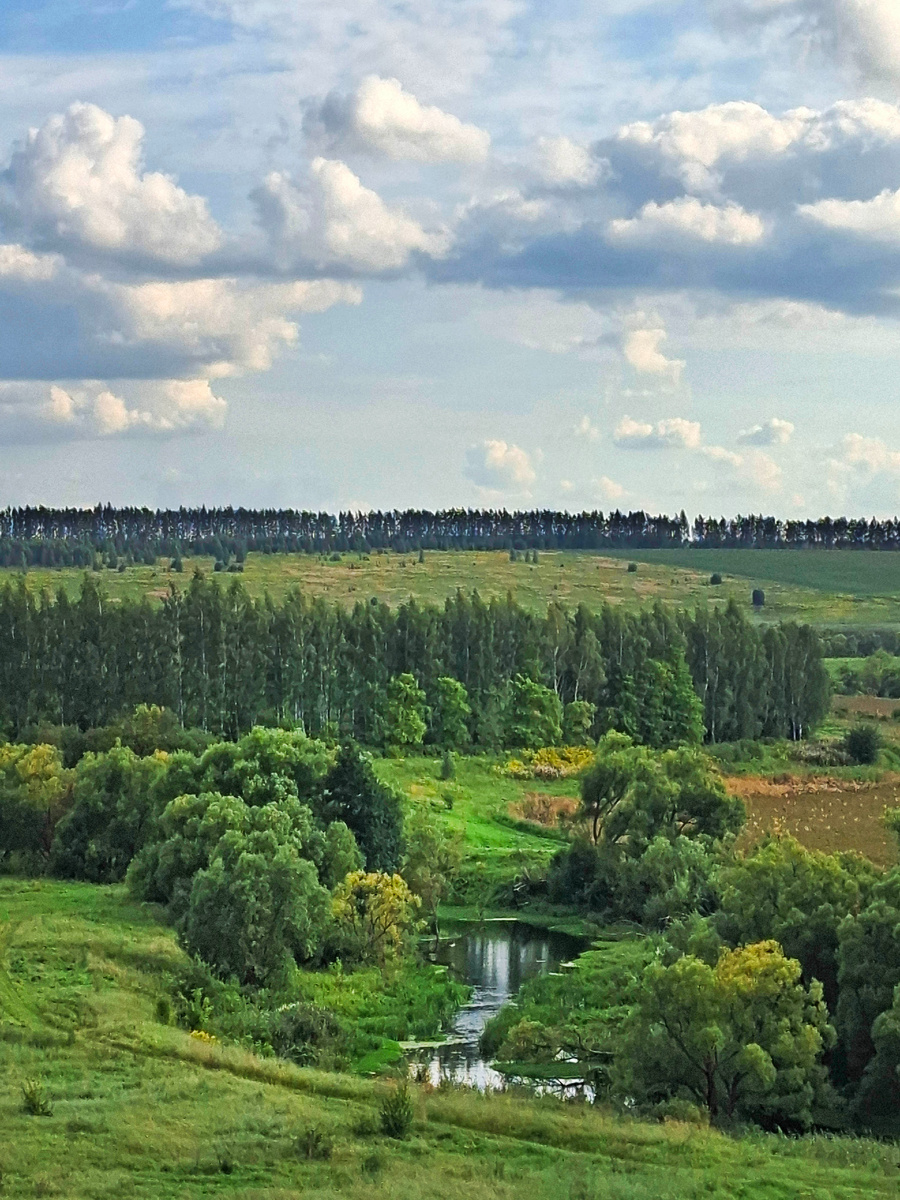 Река Осётр, в паре километров от Щучьего городка. Фото автора.