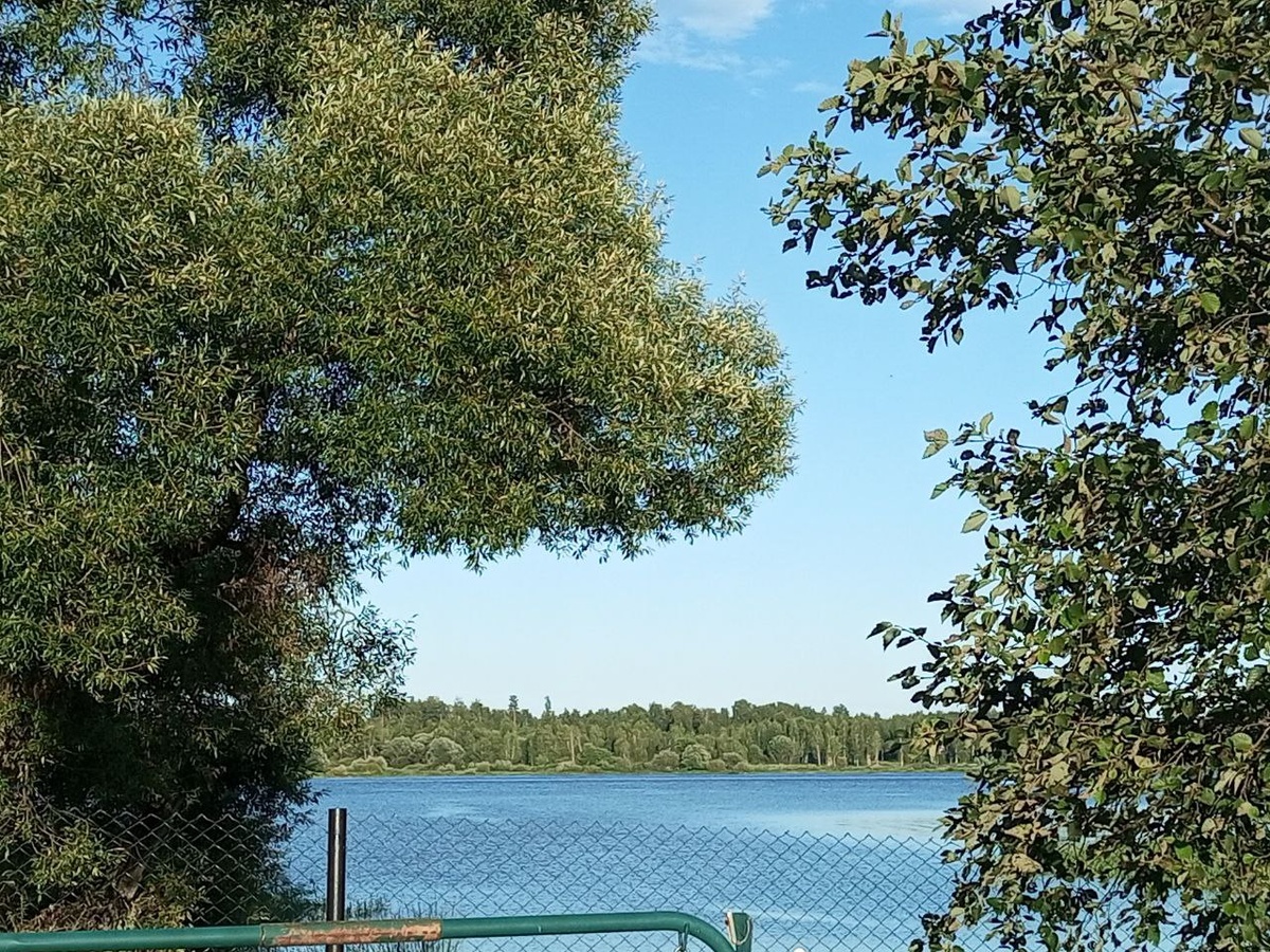 Немного Волги из-за забора