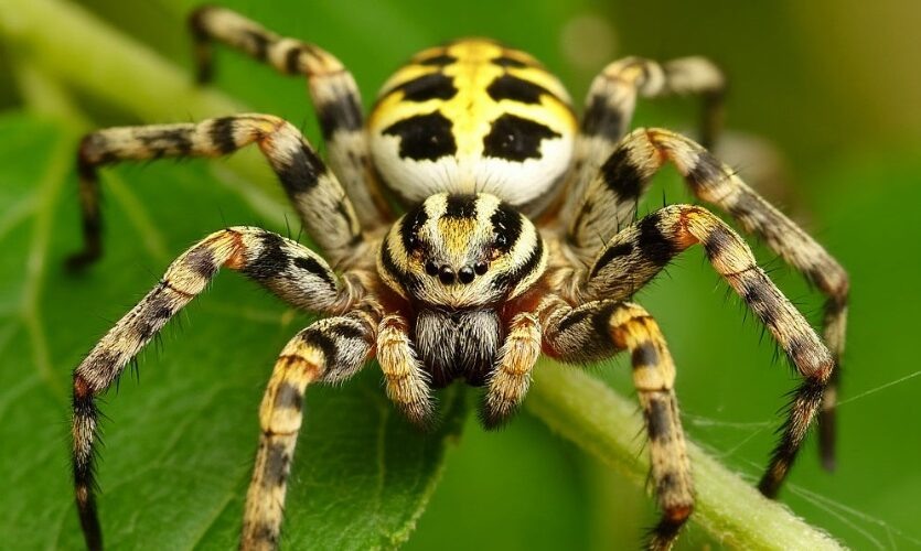    Фото: создано ИИ Шедеврум