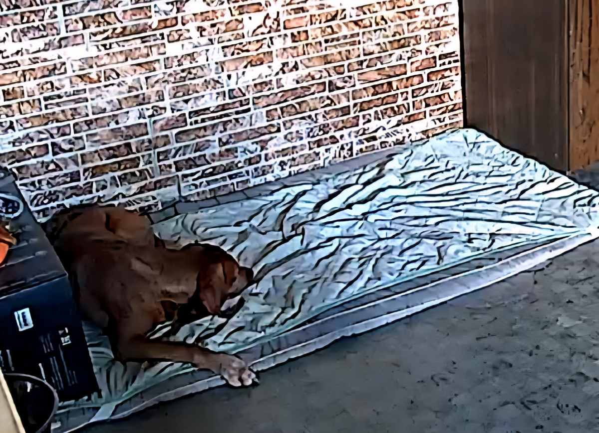 соблюдаем предписания доктора - полный покой..