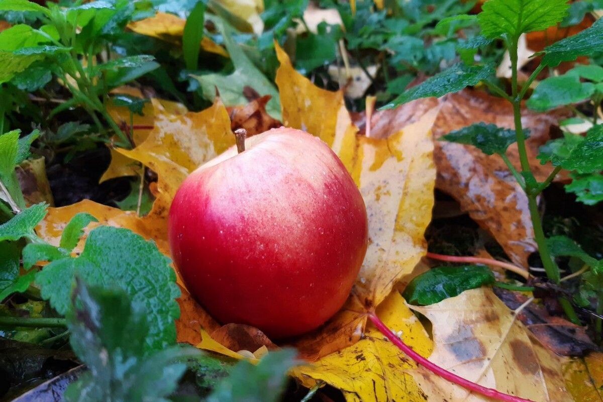 Фото: ИА "Регион71"