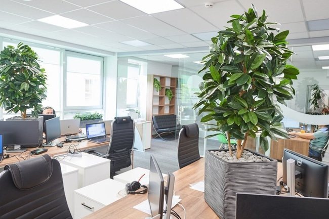    зеленый офис