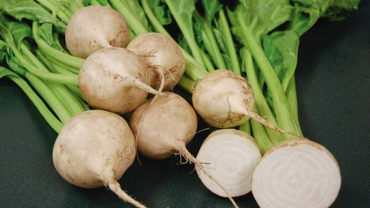    Фото: Федеральный центр охраны здоровья животных