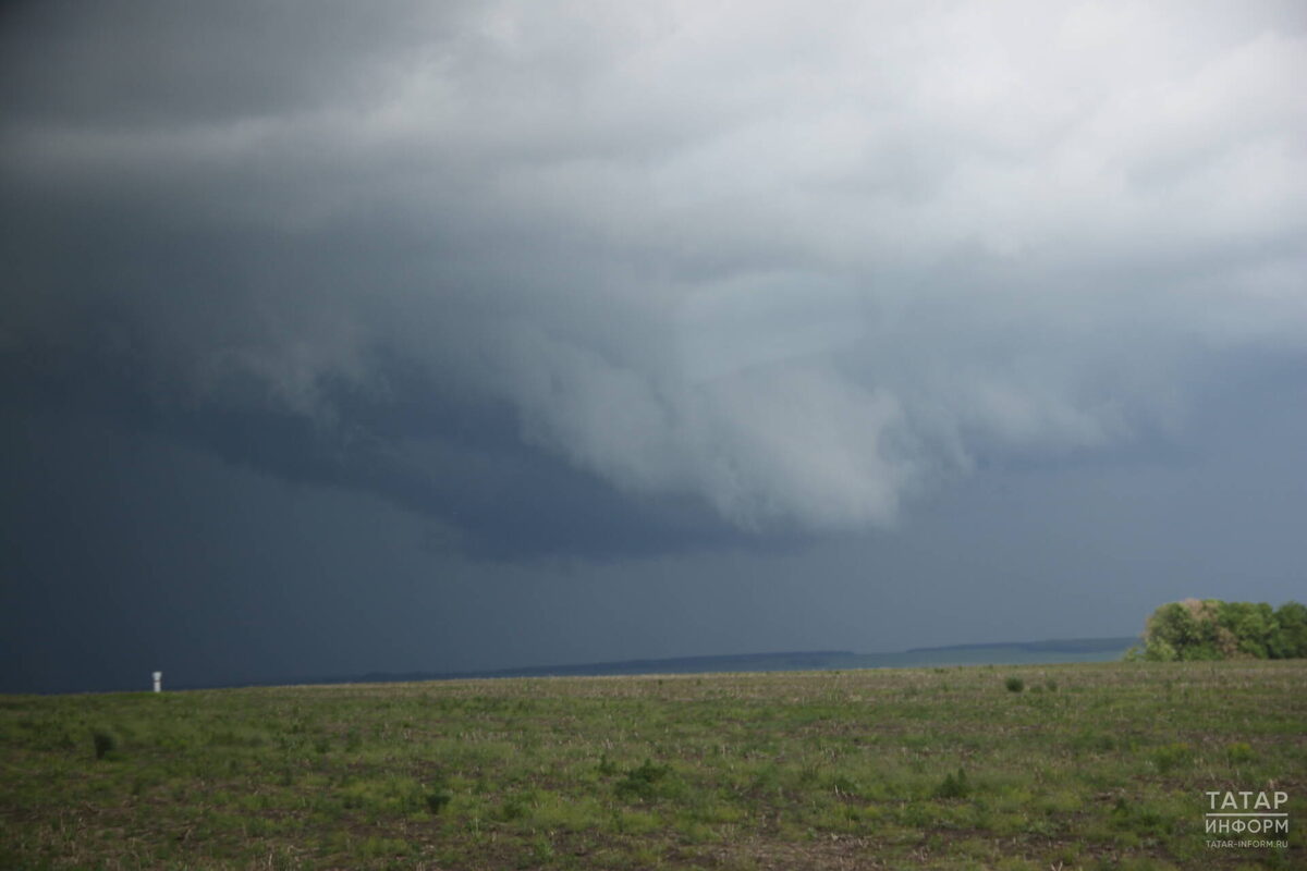 Фото: «Татар-информ»