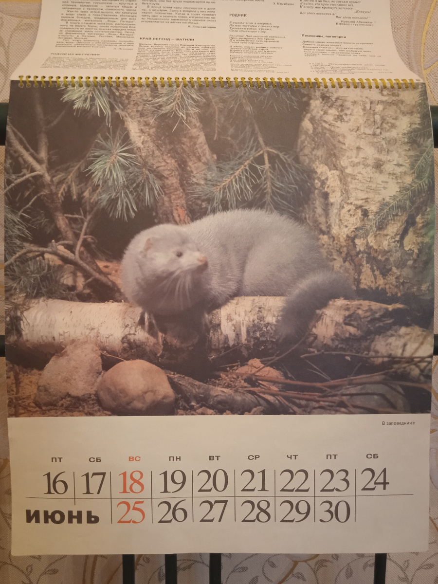 Июнь. В заповеднике