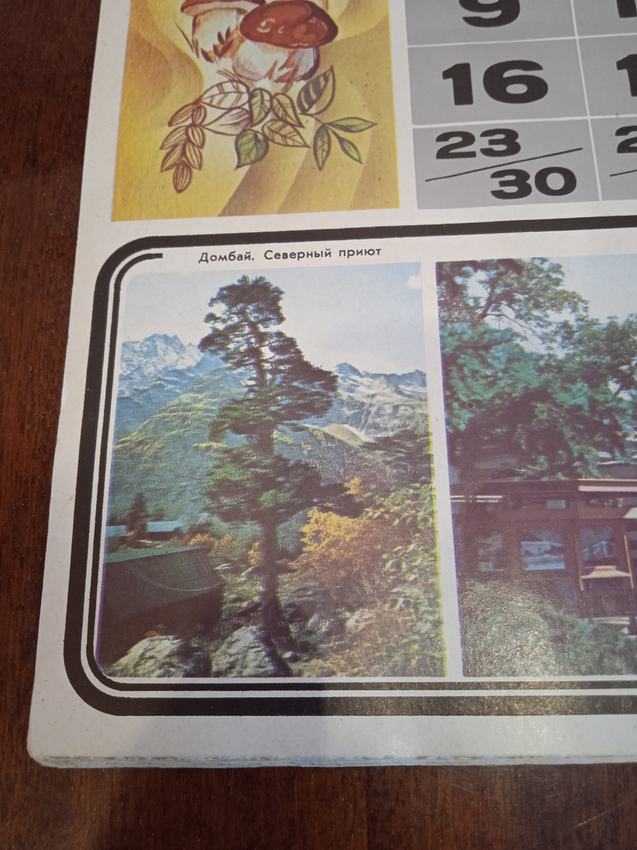 Июль. Домбай. Северный приют