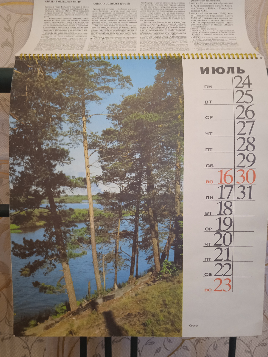 Июль. Сосны