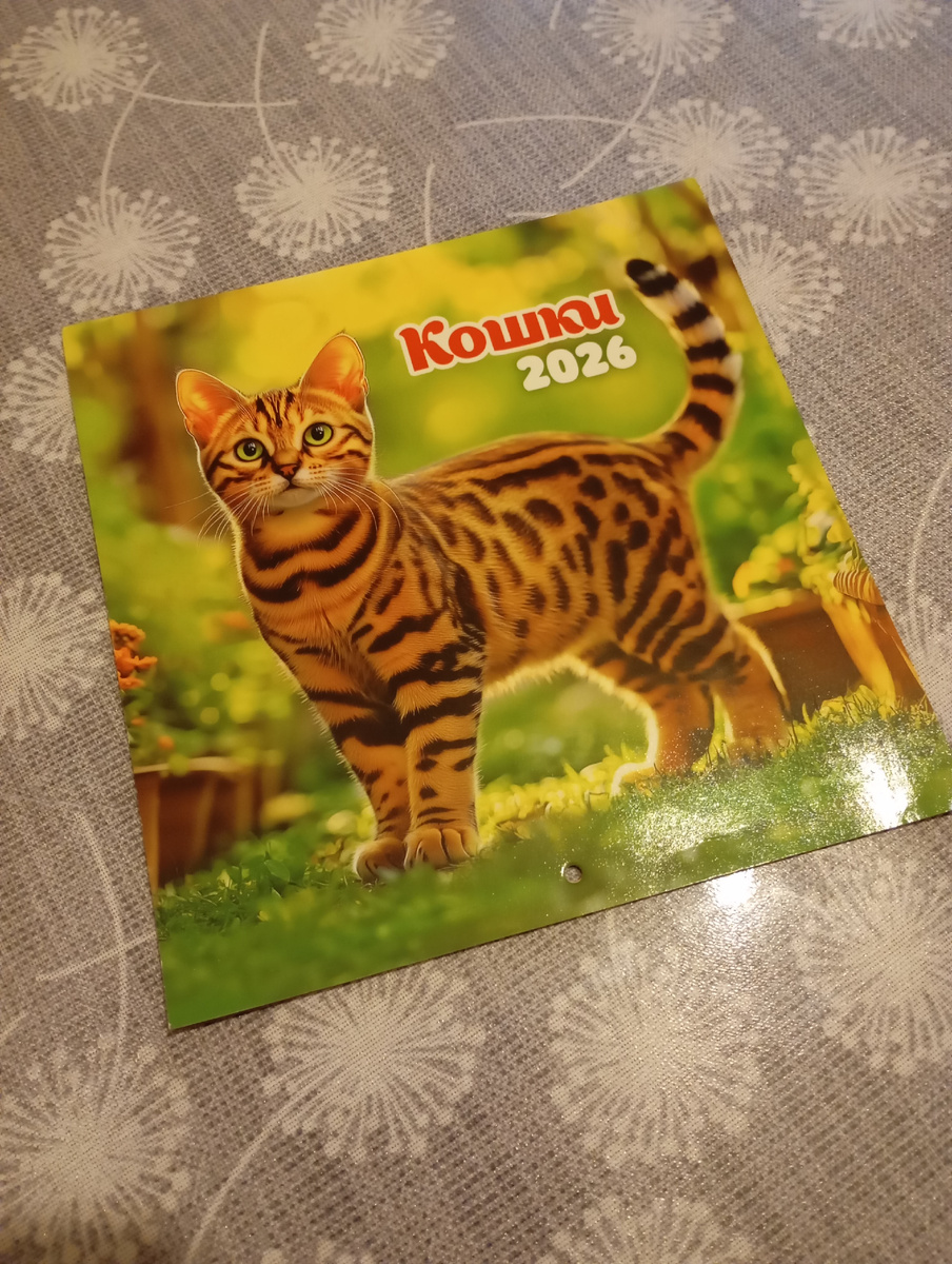 Календарь "Кошки" на 2026 год