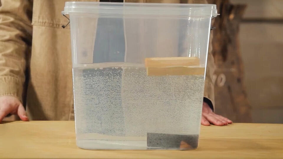 Фото: © Кадр из программы "Знаете ли вы, что?", РЕН ТВ