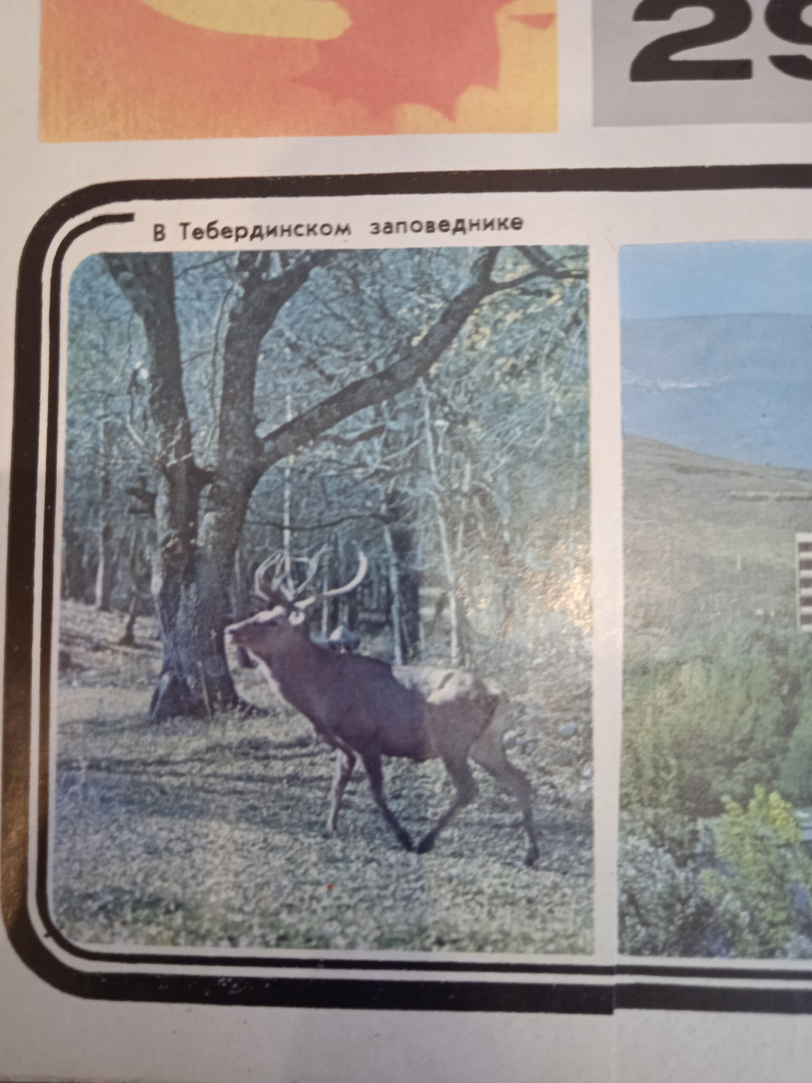 Октябрь. В Тебердинском заповеднике