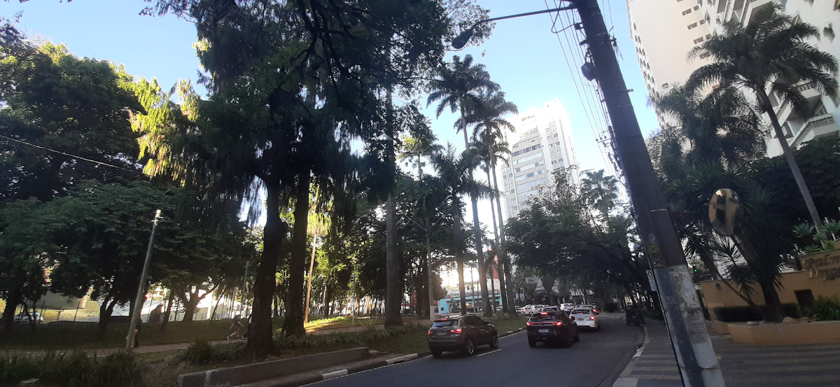 Бразилия, Кампинас, штат Сан-Паулу.