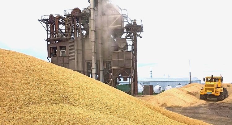    Фото: ФГБУ ЦОК АПК